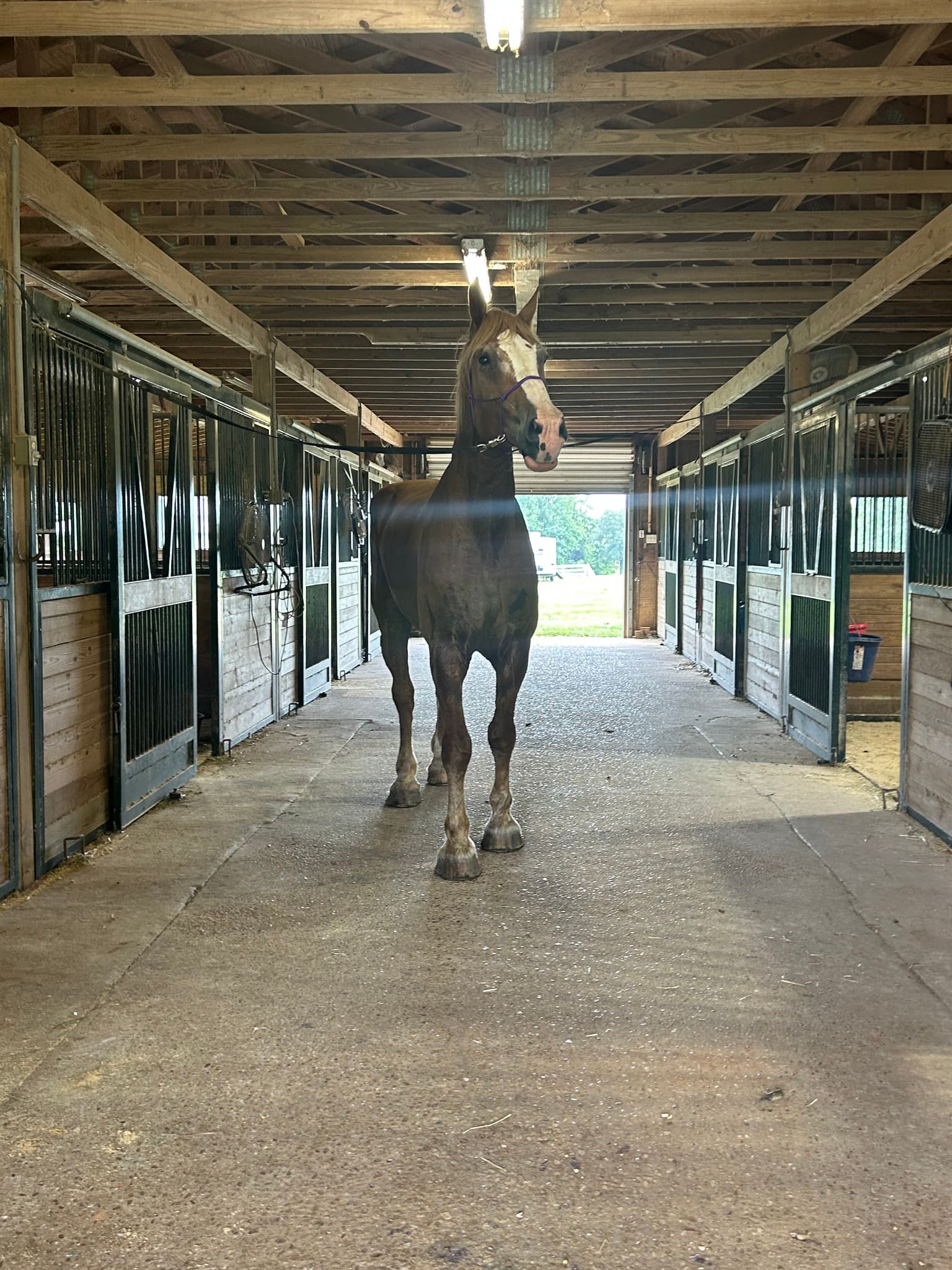 Spyglass Farms - Image 2