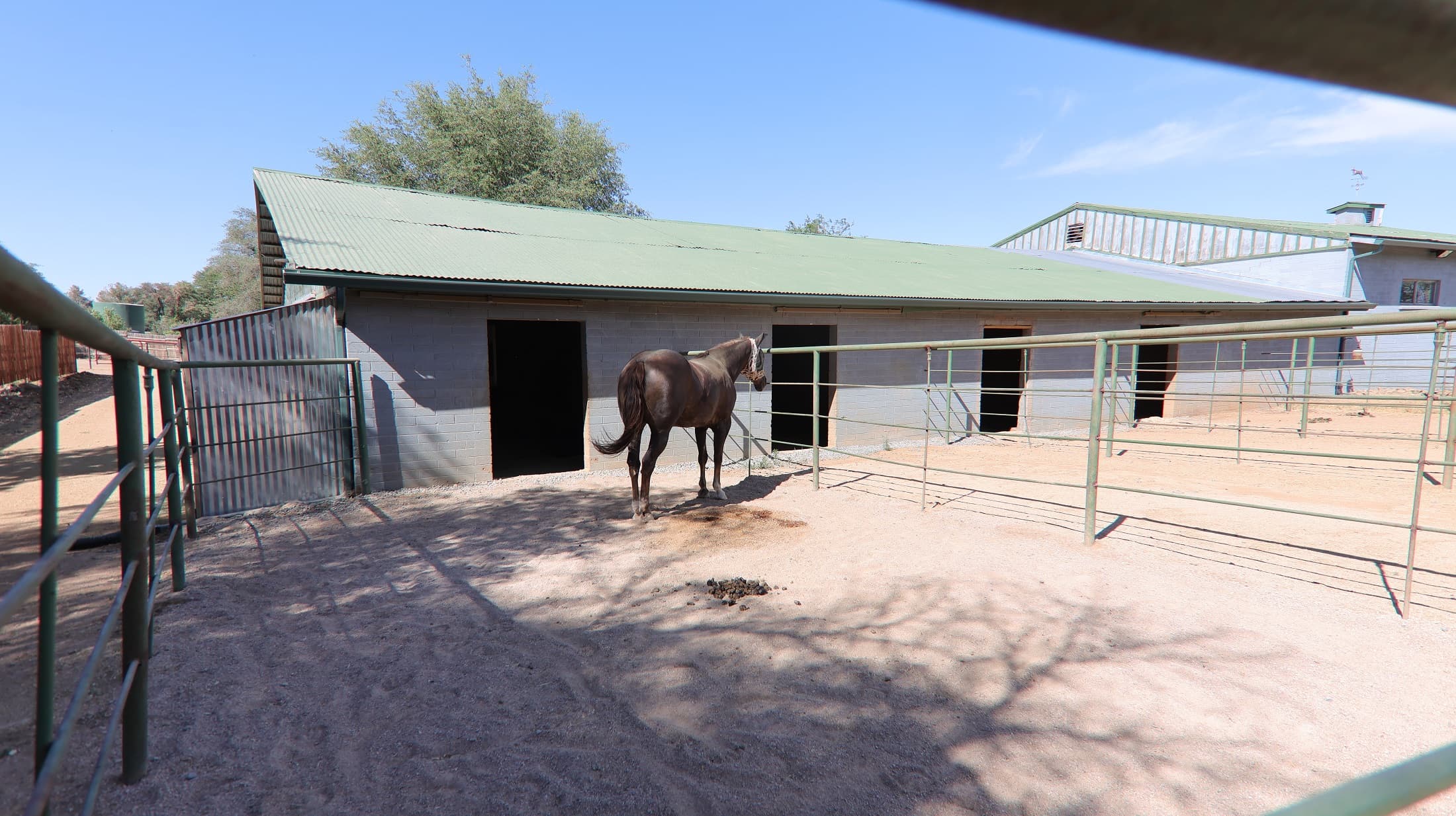 Granite Mountain Stables photo 2