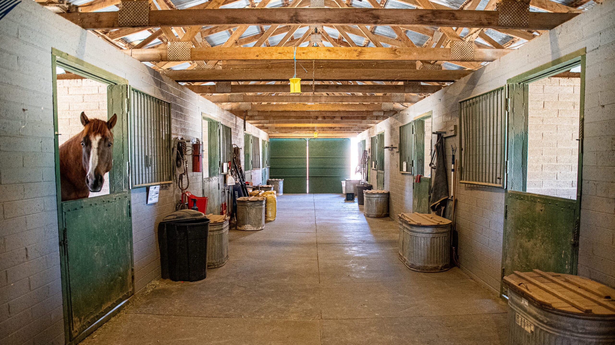 Granite Mountain Stables photo 3