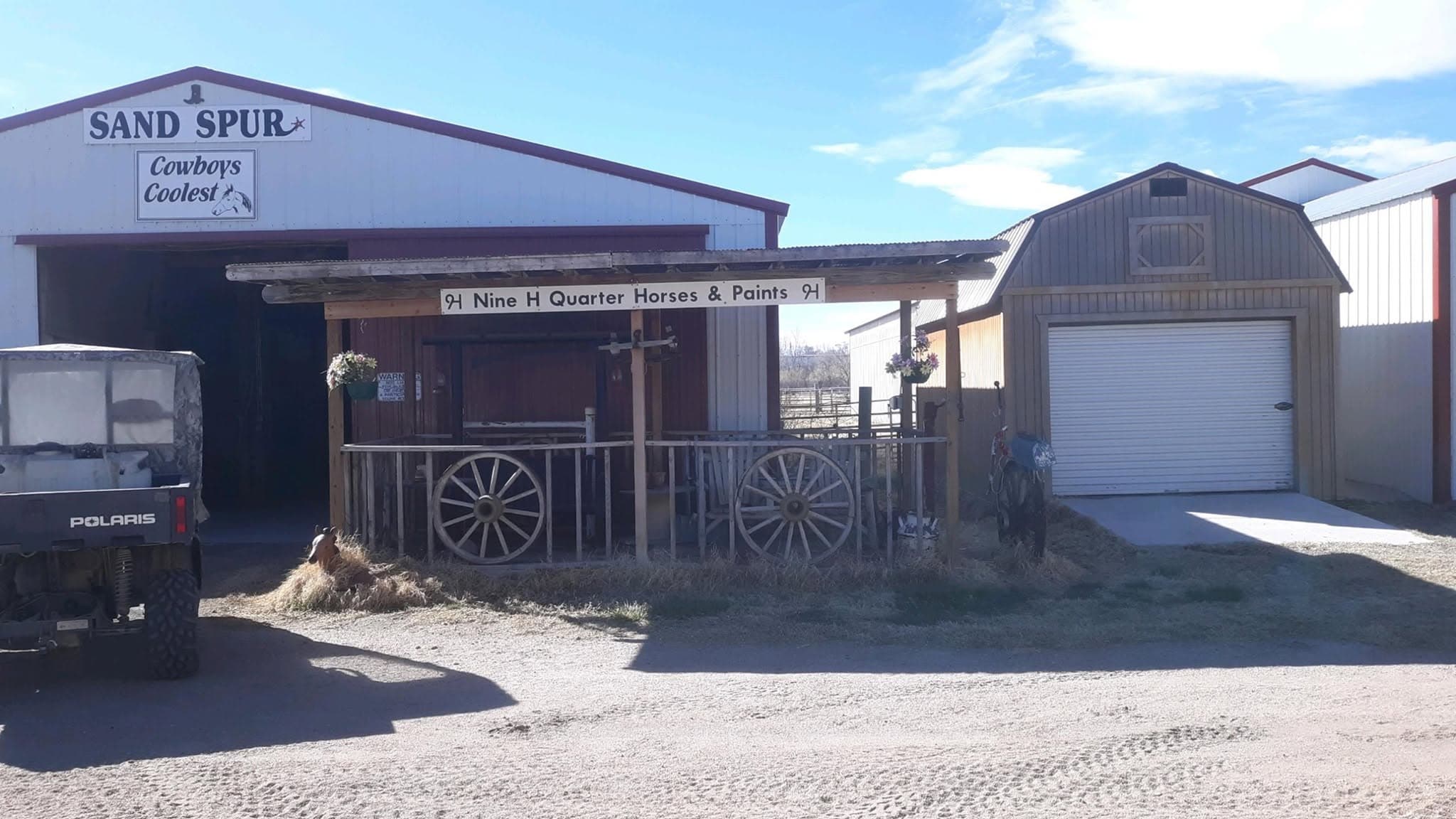 9H Quarter Horses and Paints Horse Motel photo 3