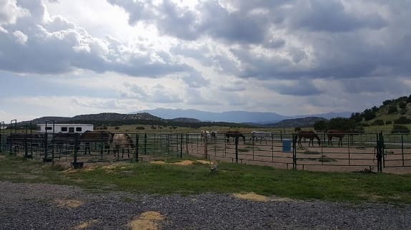 Greenhorn Horse Hotel - Image 3