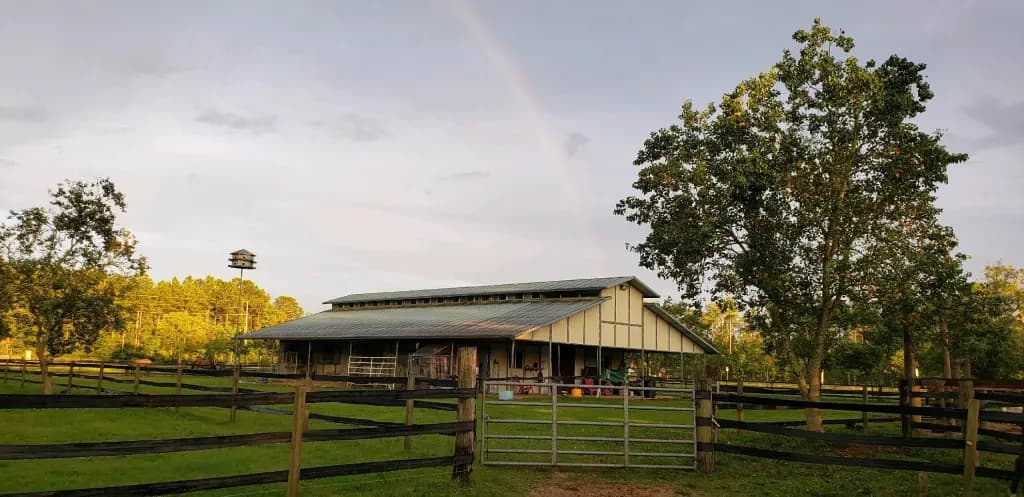 North Florida Horse Motel - Image 1