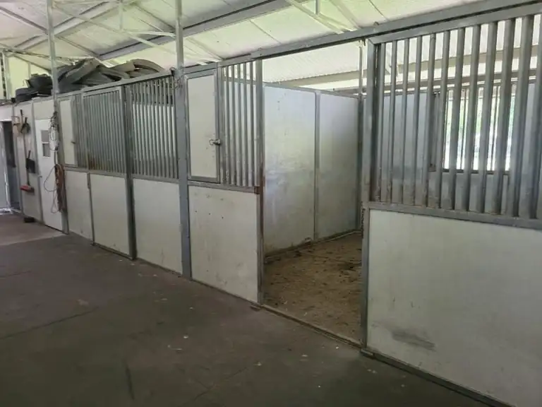 North Florida Horse Motel - Image 3