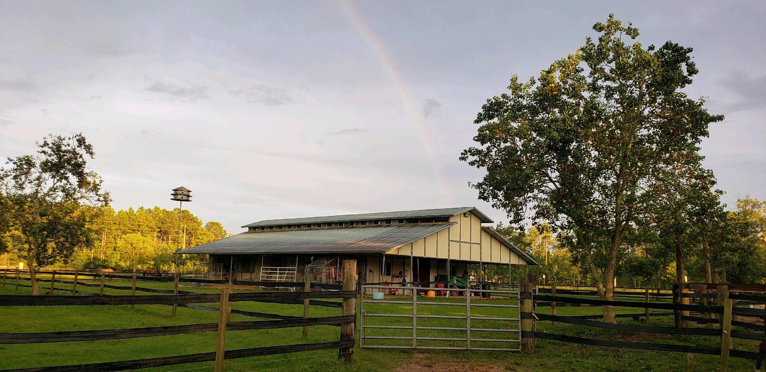 North Florida Horse Motel at Great Grace Farm - Image 1