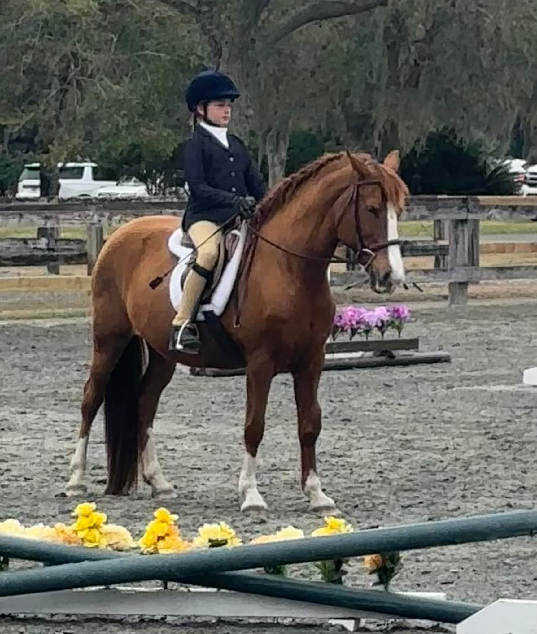 Golden Isles Riding Academy - Image 1