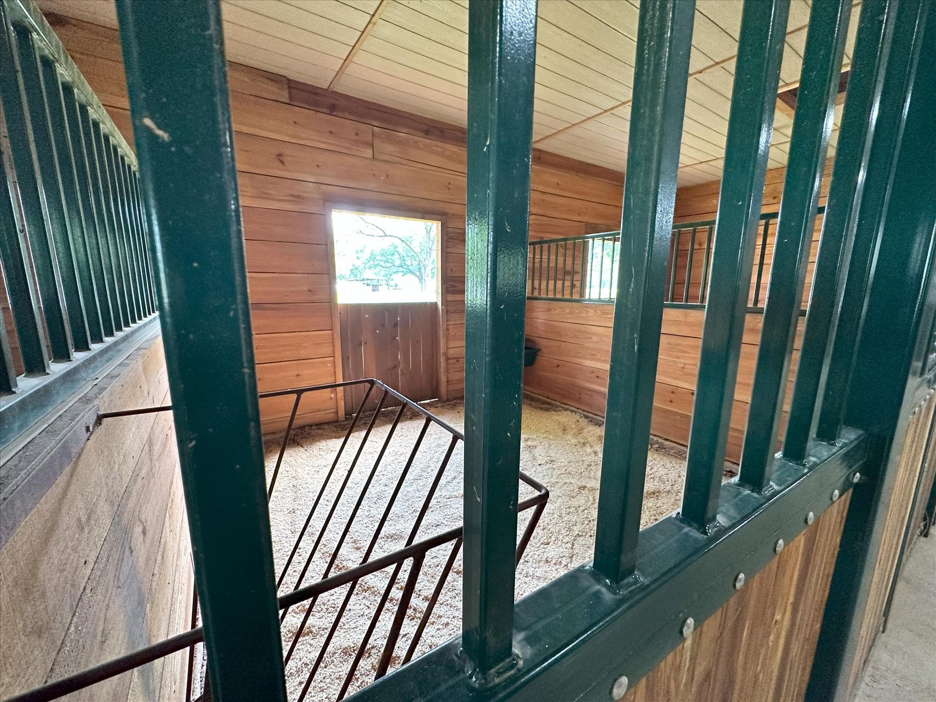 The Horse Motel - Image 3