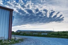 Prairie Rose Arena