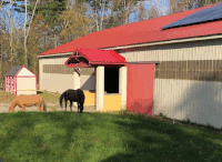 Golden Moon Farm