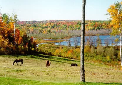 Hidden Valley Equestrian Center, Inc. - Image 1