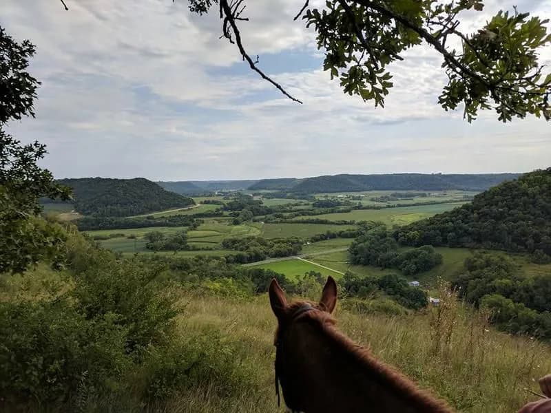 Outback Ranch, Inc.