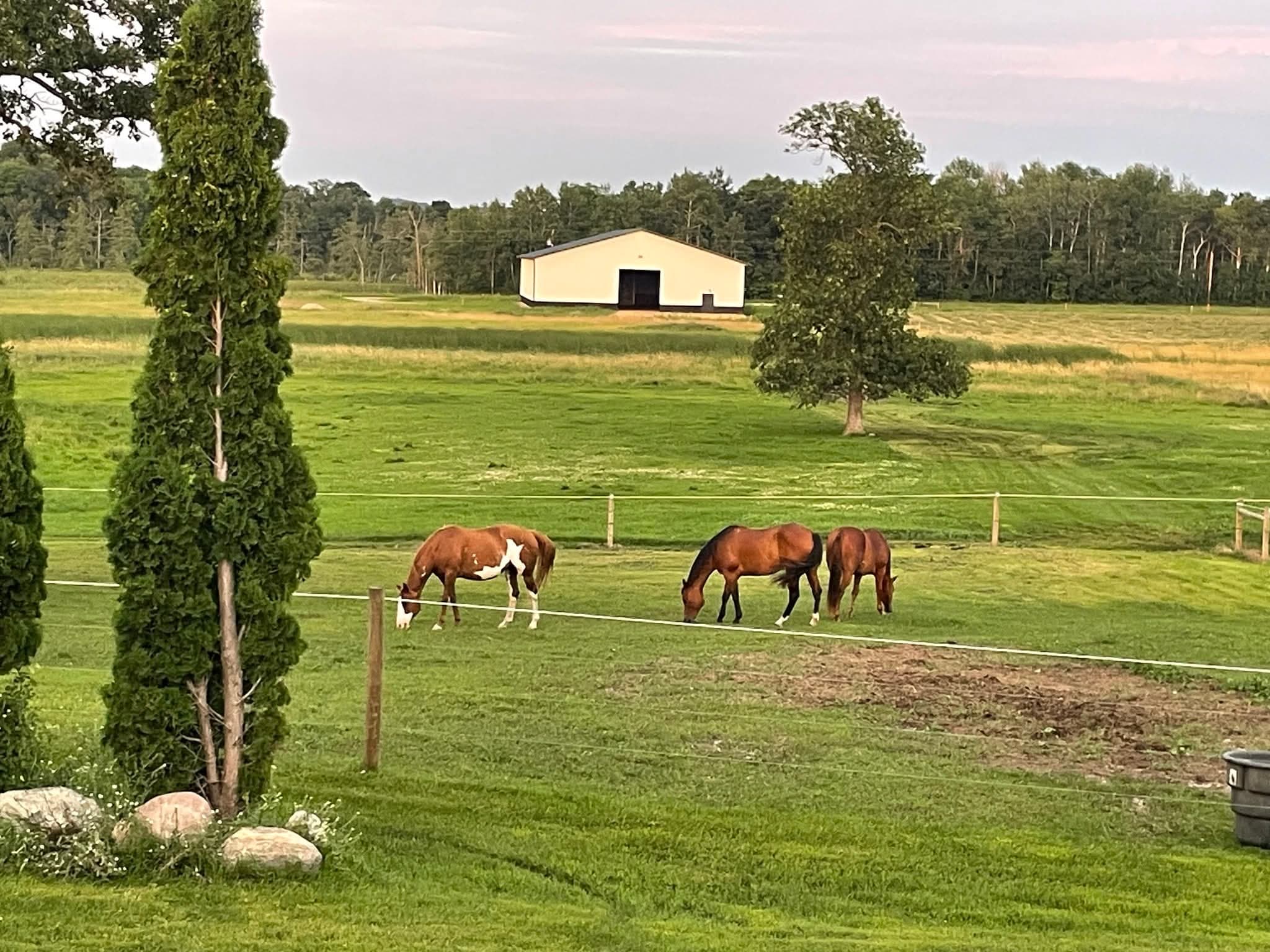 Yahweh Ranch and Arena - Image 2
