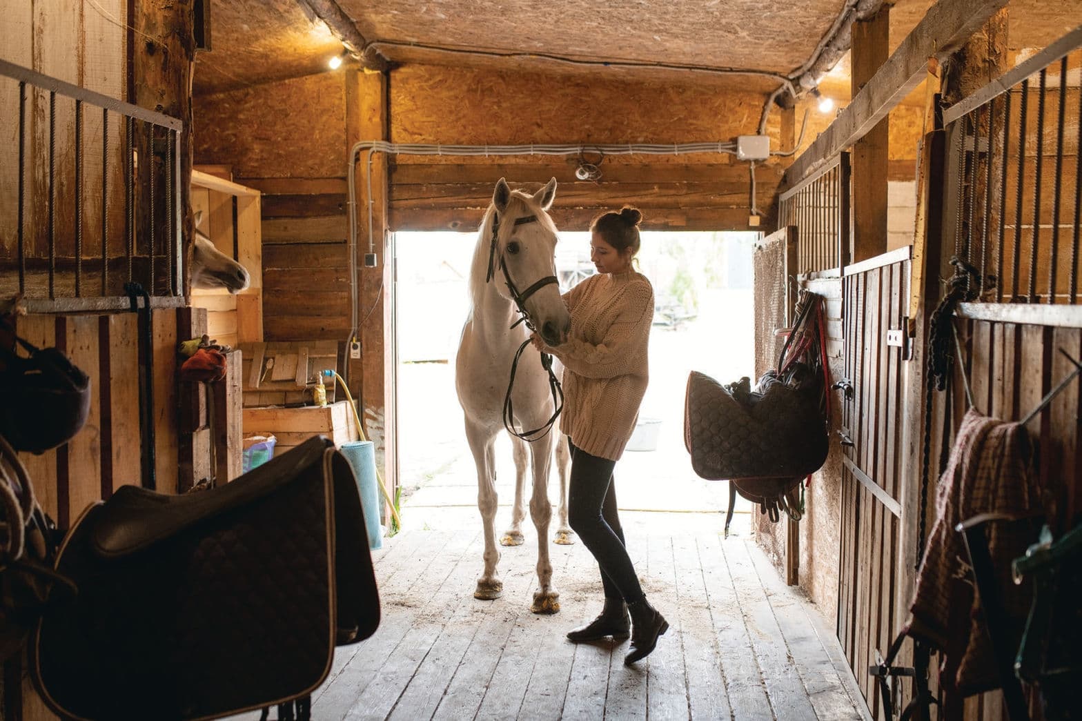 Blackwood Stables - Image 2
