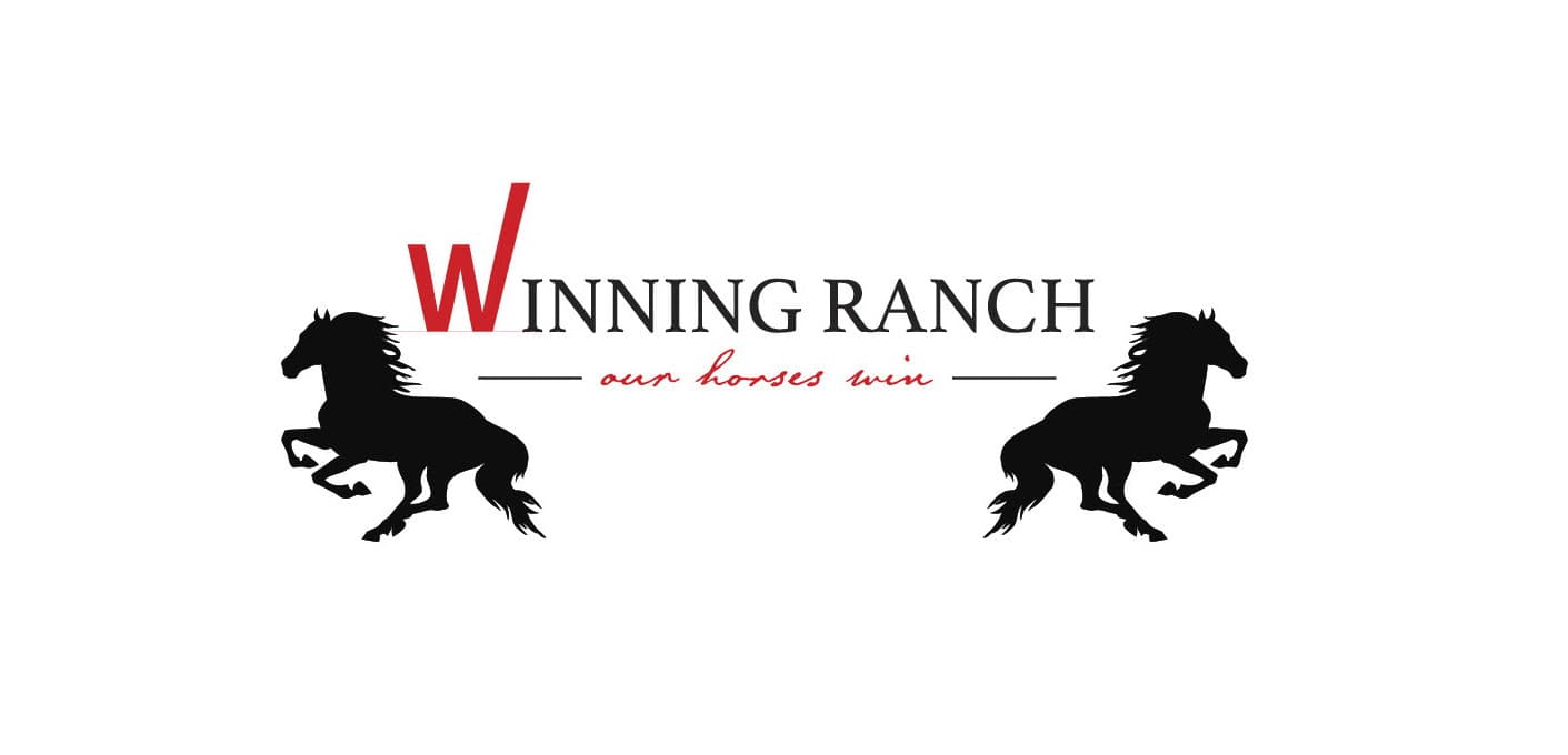 Winning Ranch - Image 1