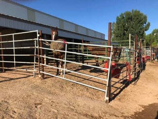 Ten Sleep RV Park, Cabins and Horse Hotel photo 3