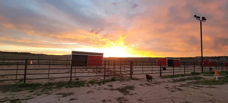Cottonwood Creek Ranch photo 3
